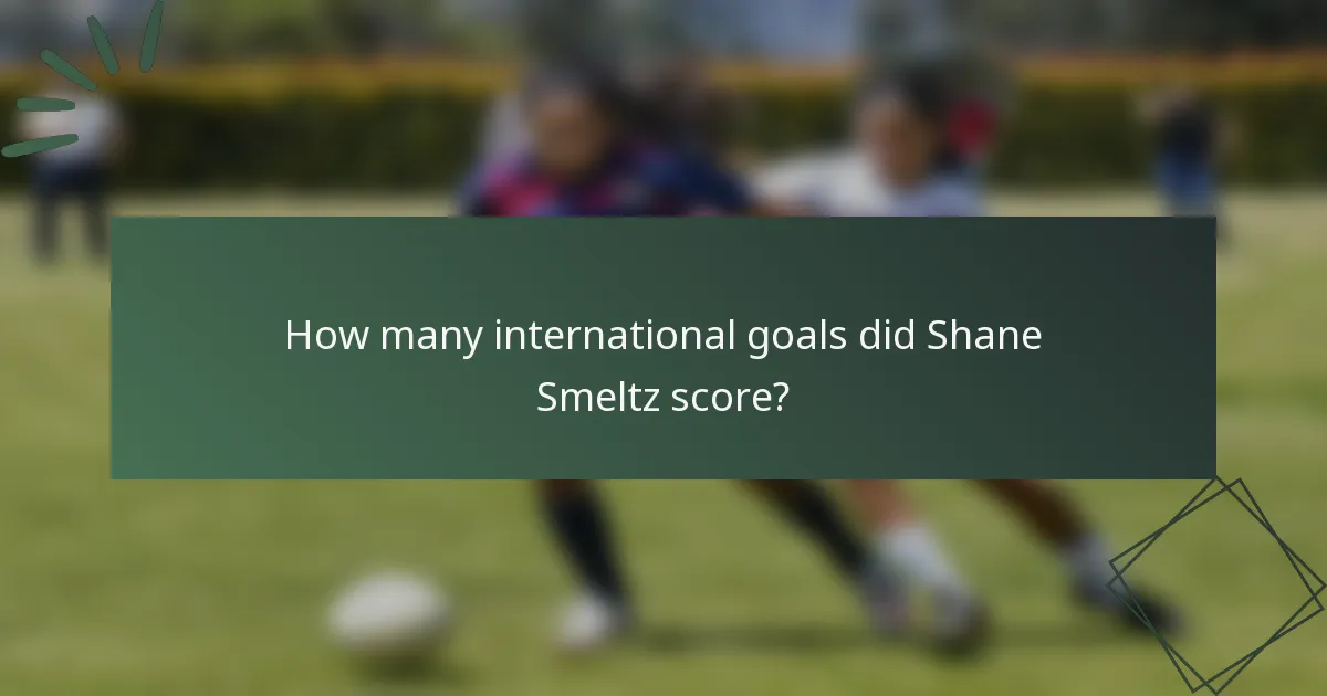 How many international goals did Shane Smeltz score?