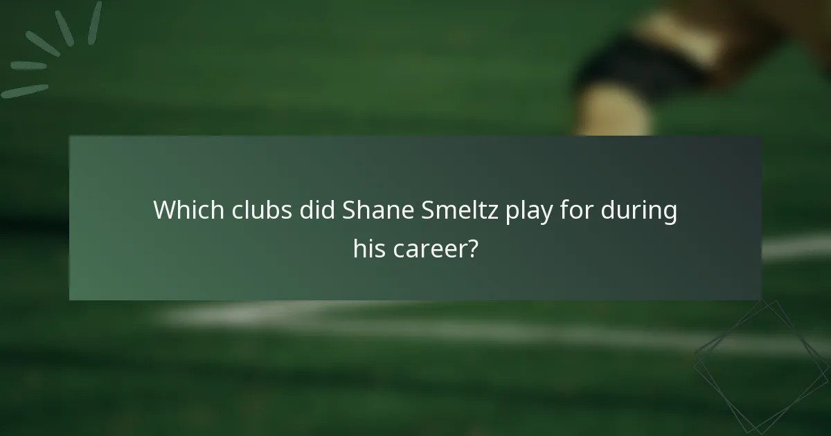 Which clubs did Shane Smeltz play for during his career?